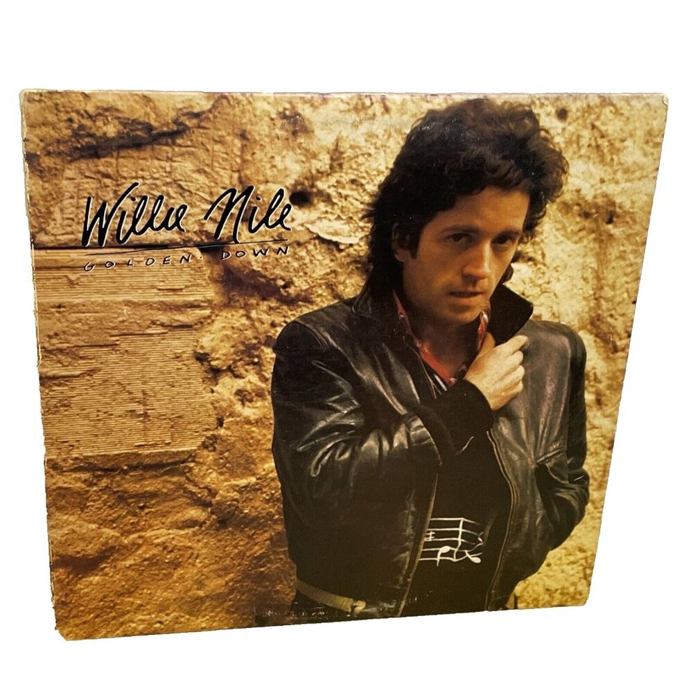 Willie Nile Golden Down (Vinyl, 1981) Arista AB 4284 VG+ LP Record Album